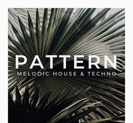 Zenhiser Pattern Melodic House and Techno WAV